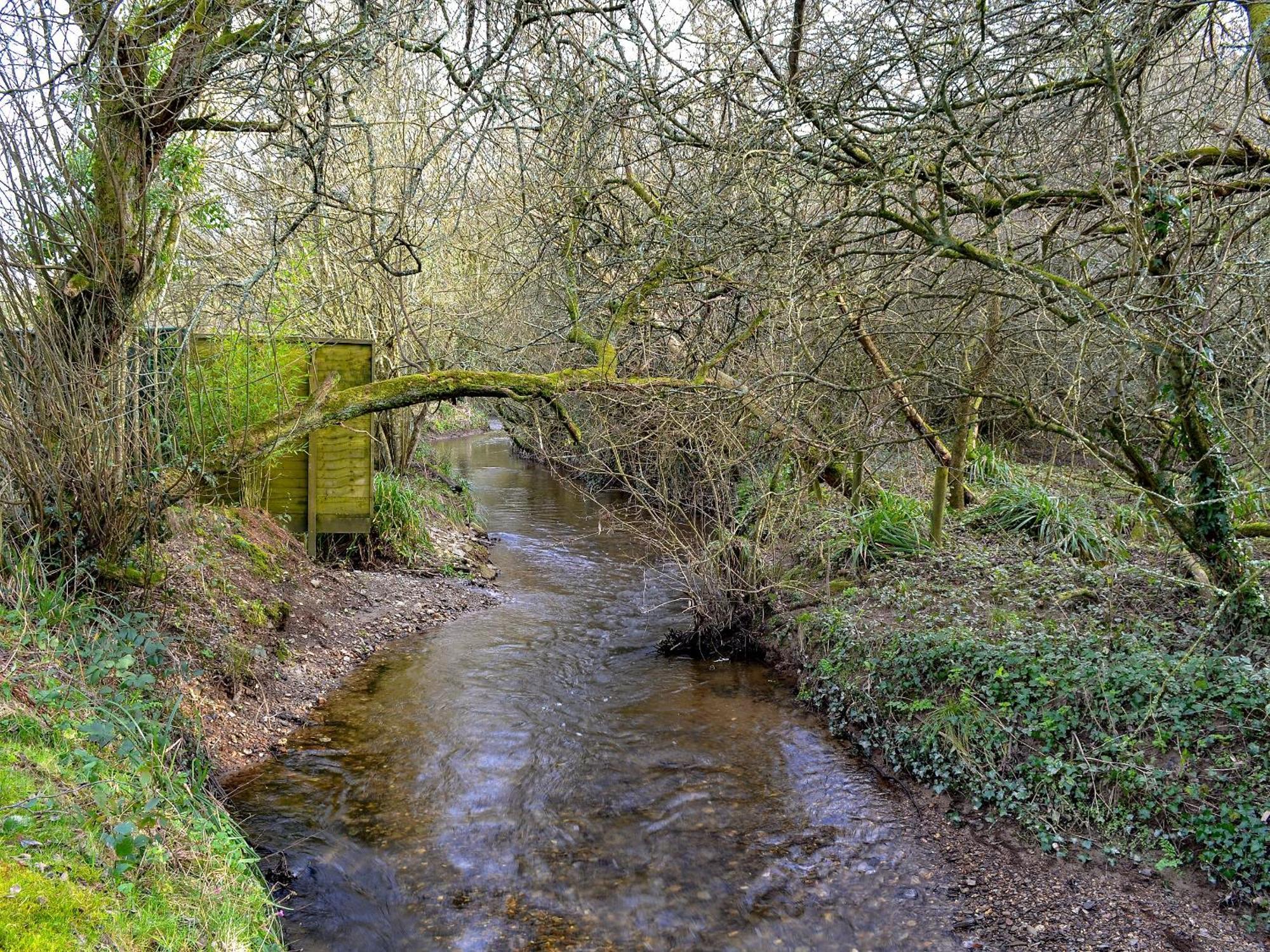 Willow Barn Saint Ewe Esterno foto